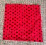 Sensory Blanket - Ladybird